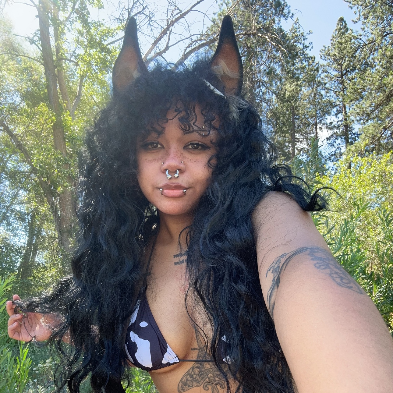 @pupwooz