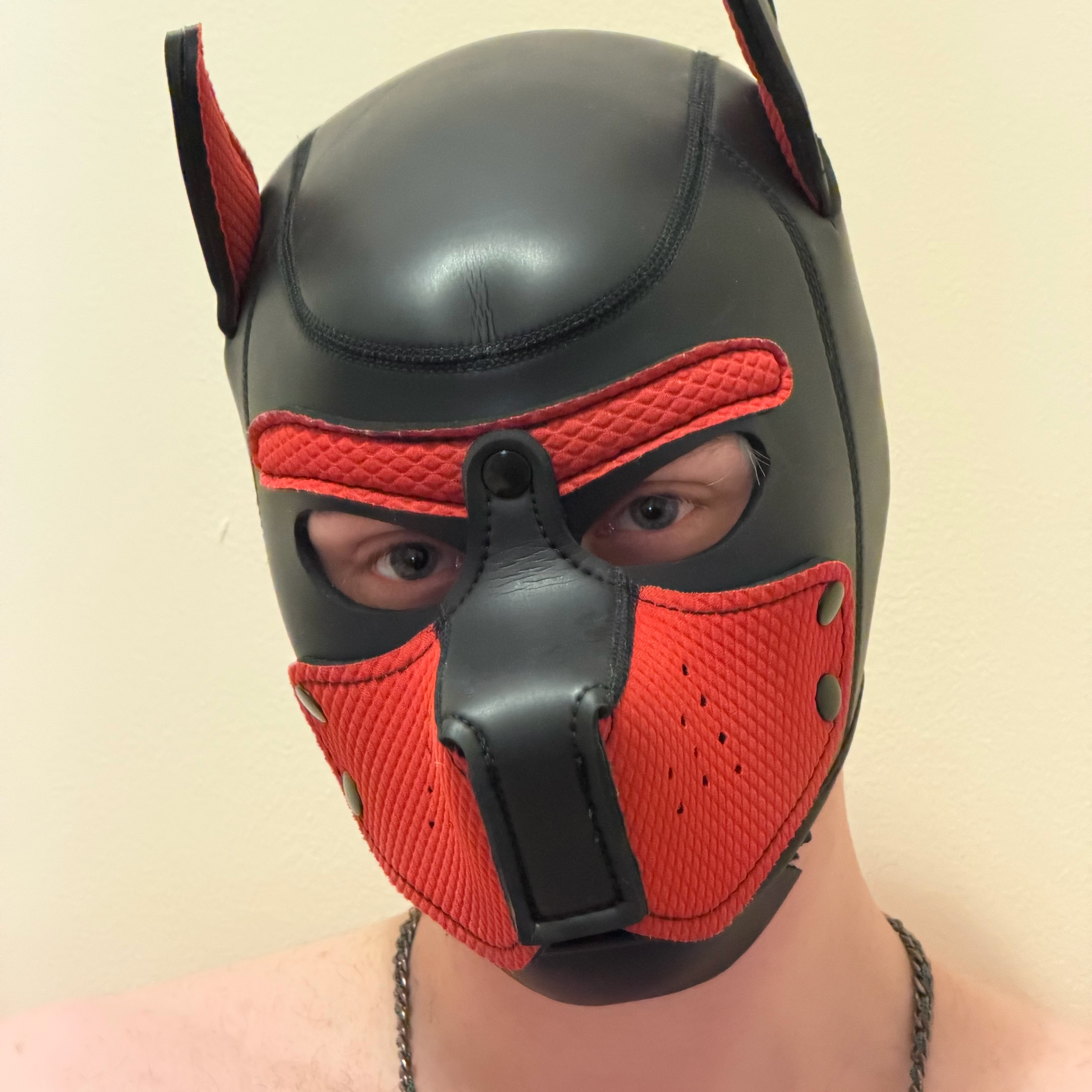 @k9_goodboy