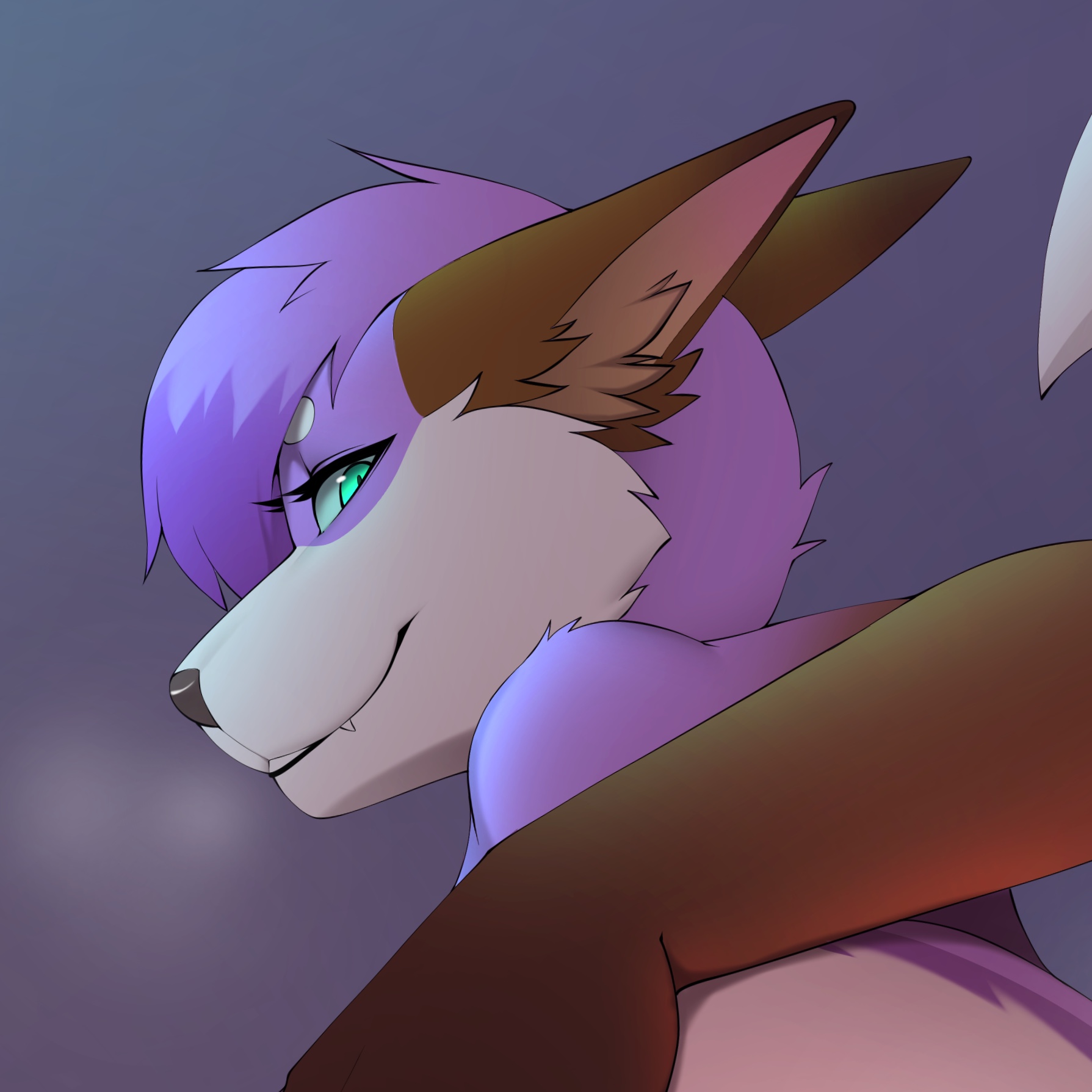 @friskiefoxie