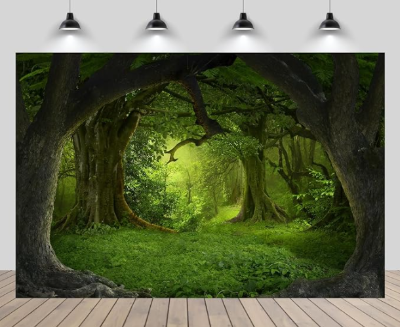 Enchanted Forest Backdrop