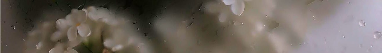 Profile background
