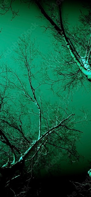 Profile background